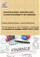 budget 20-21-22