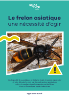 Flyer frelon asiatique 2024